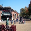 Lincoln Park Zoo in Lincoln Park, Chicago
